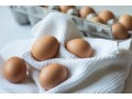 The great egg debate, FSANZ addresses concerns