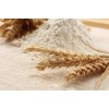 Wheat flour