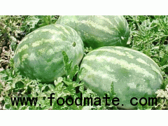 Fresh Water melons