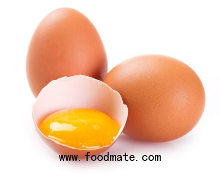 egg