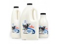 Fonterra new long-lasting fresh milk in ‘Anchor’ launch
