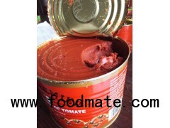 canned tomato paste