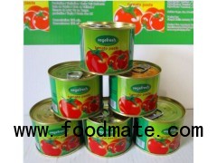 high quality tomato paste canned 70g-3000g