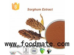 anti-oxidant sorghum extract
