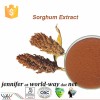 anti-oxidant sorghum extract