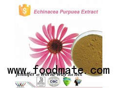 chicoric acid Echinacea purpurea extract