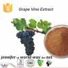 trans resveratrol grape extract
