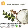 98% Trans resveratrol giant knotweed extract
