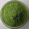 Organic Alfalfa grass powder