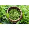 Organic Green tea extract