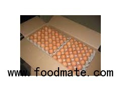 brown table eggs
