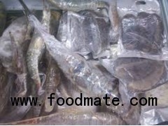 Frozen Seafood Manufacturer,Processer,Producer