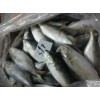 Frozen Tilapia Fillet Boneless Skinless with CO Treated(frozen fish,seafood)