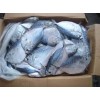 Fresh Seafood Frozen Tilapia for sale