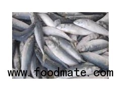 Frozen Seafood Frozen Pacific Saury for sale