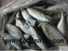 High Quality Frozen Seafood Frozen Yellow Croaker for sale