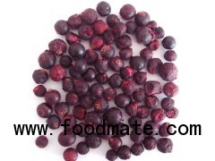 Freeze Dried Black Currant