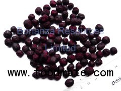 Freeze Dried Blueberry