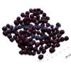 Freeze Dried Blueberry