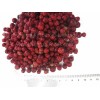 Freeze Dried Lingonberries