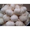 Fresh Onion ,Fresh Ginger and Fresh Garlic for Sale