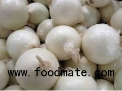 Pure White Garlic,Pure White Garlic and Fresh Ginger