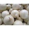 Pure White Garlic,Pure White Garlic and Fresh Ginger