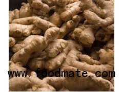 Fresh Garlic,Fresh Ginger,Fresh Onion and Fresh Potato Fresh Carrot for Sale