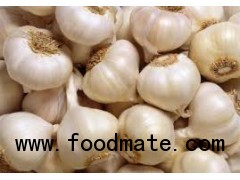 Fresh Garlic, Ginger and Pepper