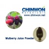 Mulberry Juice Powder