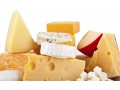 Soley Biotechnology Institute creates technology that extends shelf life of cheese