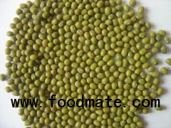 Green Mung Beans- Best Quality