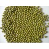 Green Mung Beans- Best Quality