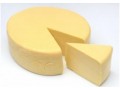 Soley Institute’s X-12 product increases shelf life of cheese