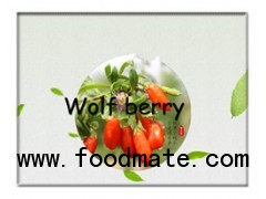 Goji berry,Dry goji fruits