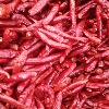 whole dry red chili