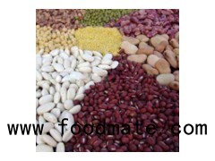 Kidney Beans