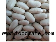 White Kidney Bean(Baishake type)