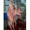 HALAL FROZEN BEEF CARCASS CUT IN 4 QUARTERS