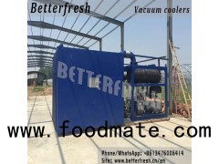 Betterfresh Pallets Vacuum Coolers Vegetables Coolers Folwer Cooler Farm Cooler Mushroom Cooler