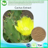 Cactus Extract