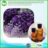 Lavender Essential Oil