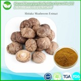 Shiitake Mushroom Extract