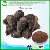 Maca Powder