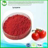 Lycopene