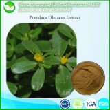 Portulaca Oleracea Extract