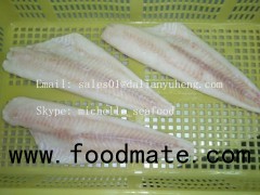 FROZEN HADDOCK FILLET