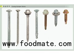 Casing Scraper Series SELF Tapping SCREW