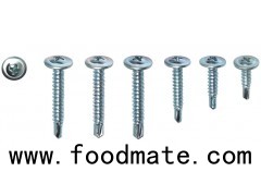 TRUSS HEAD SELF TAPPING SCREW