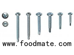 PHILLIPS PAN HEAD SELF TAPPING SCREW